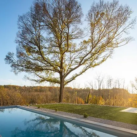 Ulmus Near Motovun For 6 People With Heated Pool & Jacuzzi Villa Karojba