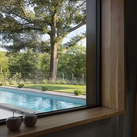 Villa Ulmus Near Motovun For 6 People With Heated Pool & Jacuzzi *