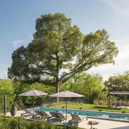 Ulmus Near Motovun For 6 People With Heated Pool & Jacuzzi * Karojba