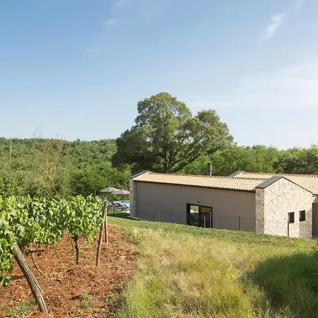 Ulmus Near Motovun For 6 People With Heated Pool & Jacuzzi * Karojba